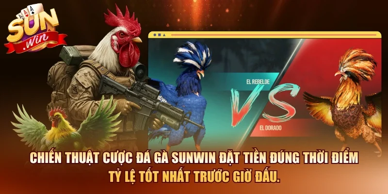 Bí Quyết Xem Đá Gà Mạng Và Cách Cược Hiệu Quả 2026 12 Sunwin Chiến thuật cược đá gà SUNWIN đặt tiền đúng thời điểm tỷ lệ tốt nhất trước giờ đấu.